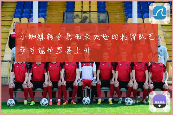 小蜘蛛转会悬而未决哈姆扎留队巴萨可能性显著上升