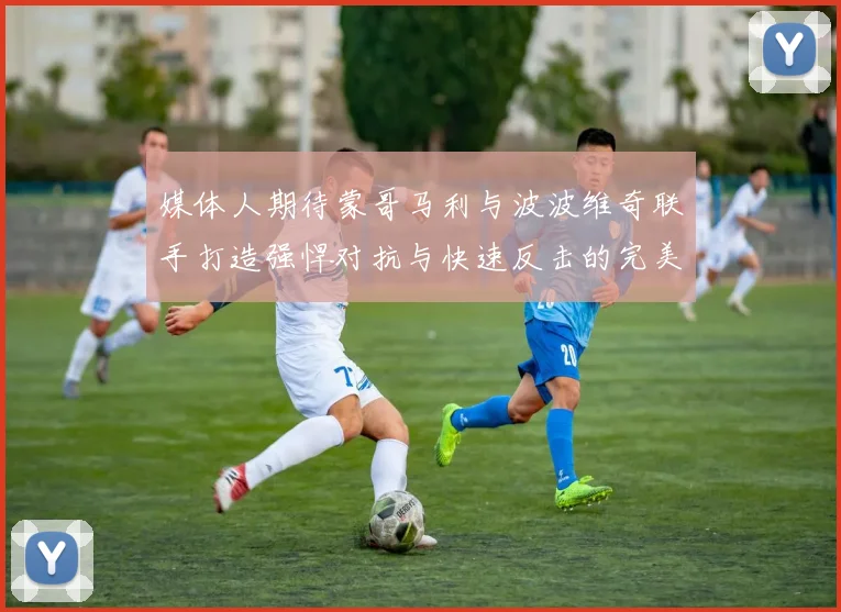 媒体人期待蒙哥马利与波波维奇联手打造强悍对抗与快速反击的完美结合